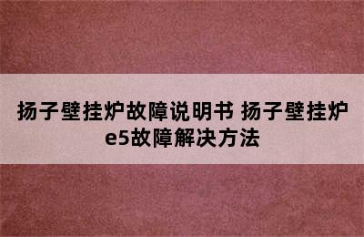 扬子壁挂炉故障说明书 扬子壁挂炉e5故障解决方法